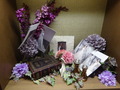 DSC00546